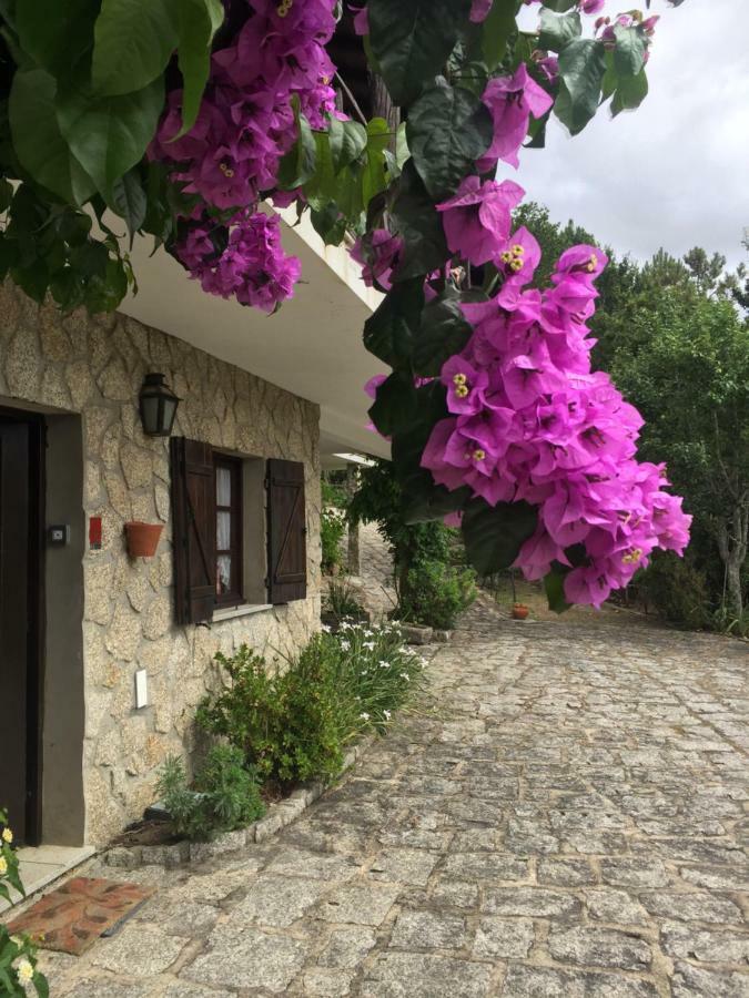 Villa De Fujacos 巴伦西亚 外观 照片